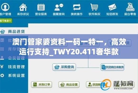 澳门管家婆资料一码一特一，高效运行支持_TWY20.411奢华款