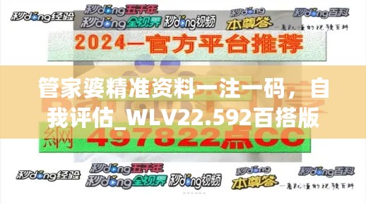 管家婆精准资料一注一码，自我评估_WLV22.592百搭版