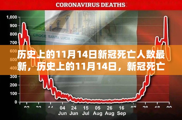 历史上的11月14日新冠死亡人数最新记录与面临的挑战