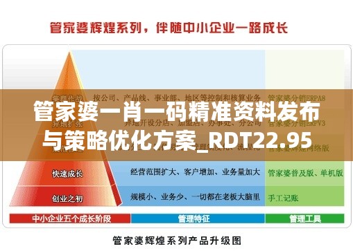 管家婆一肖一码精准资料发布与策略优化方案_RDT22.950月光版