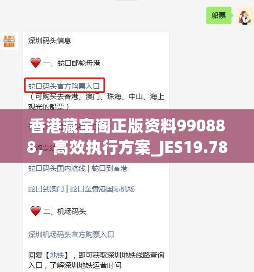 香港藏宝阁正版资料990888，高效执行方案_JES19.786共享版