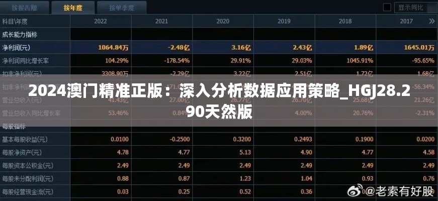 2024澳门精准正版：深入分析数据应用策略_HGJ28.290天然版