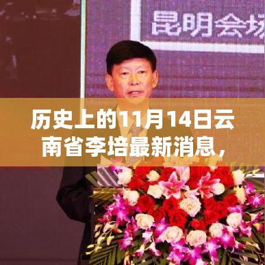 历史上的11月14日云南省李培最新消息概览，最新动态一览无余！