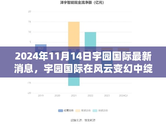 宇园国际在风云变幻中展现异彩，最新观察报告（2024年11月14日）