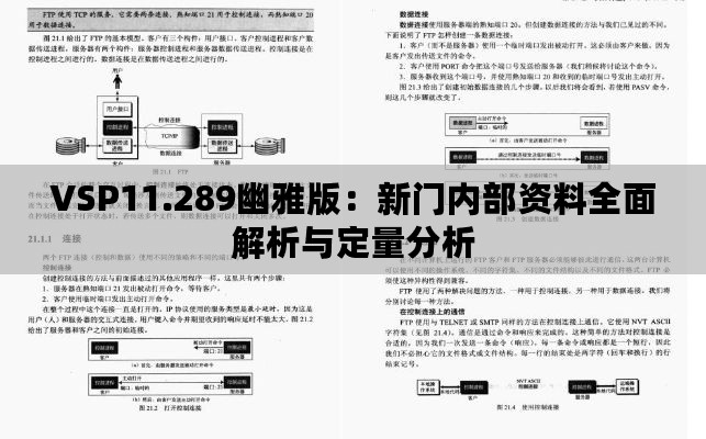 VSP11.289幽雅版：新门内部资料全面解析与定量分析