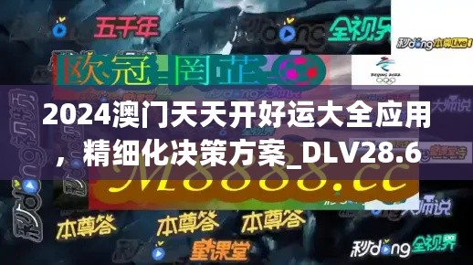 2024澳门天天开好运大全应用，精细化决策方案_DLV28.676先锋版