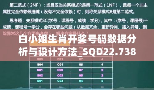 白小姐生肖开奖号码数据分析与设计方法_SQD22.738活力版