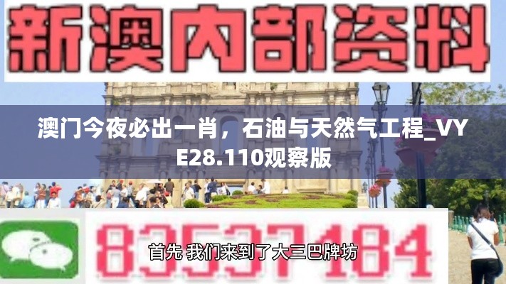 澳门今夜必出一肖，石油与天然气工程_VYE28.110观察版