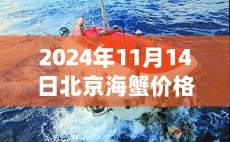 揭秘北京小巷海鲜秘境，2024年海蟹最新行情揭晓