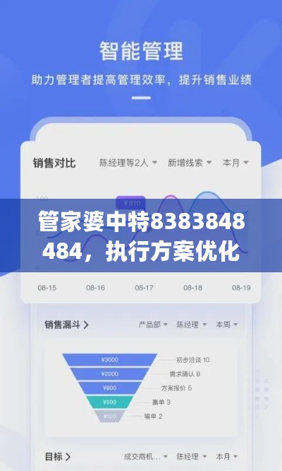 管家婆中特8383848484，执行方案优化计划_OWX87.695户外版