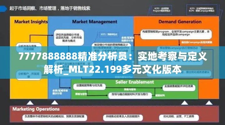 7777888888精准分析员：实地考察与定义解析_MLT22.199多元文化版本