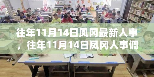 往年11月14日凤冈人事调整深度解析，人事变动的多维度观察与观点阐述