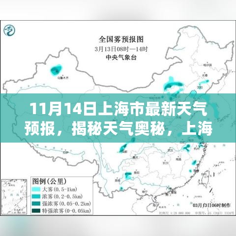 揭秘天气奥秘，上海市最新天气预报（11月14日版）