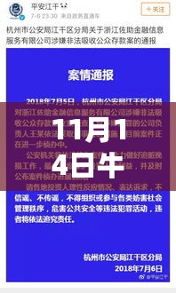 牛板金理财下的温暖日常，理财小趣事与深厚友情的最新评论（11月14日）