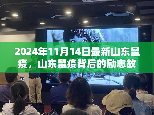 山东鼠疫背后的故事，学习变化，自信成就未来励志篇章（2024年11月最新）