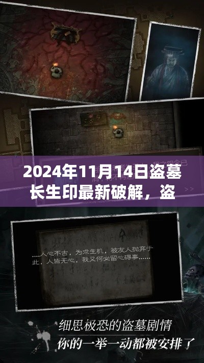 盗墓长生印最新破解版指南（2024年11月14日更新），探索行业边缘的神秘古墓