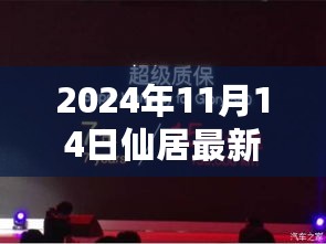 变革之风下的仙居新篇章，励志启示与最新资讯（2024年11月14日）