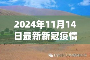 疫情下的自然探索之旅，心灵解放与宁静的追寻（最新新冠疫情背景）