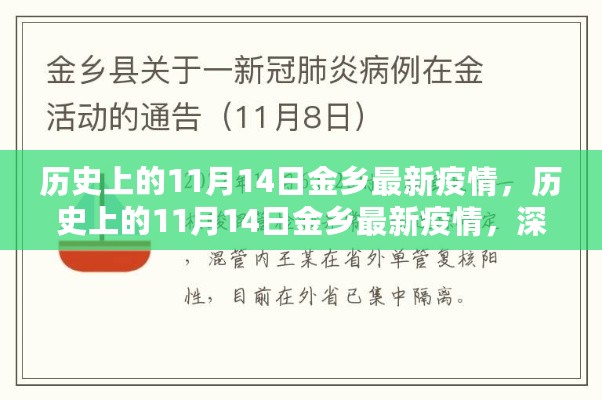 历史上的金乡疫情深度评测与介绍，11月14日最新疫情报告分析