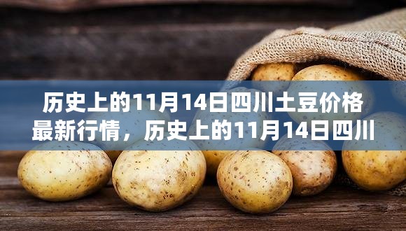 历史上的11月14日四川土豆价格行情深度解析及市场走势报告