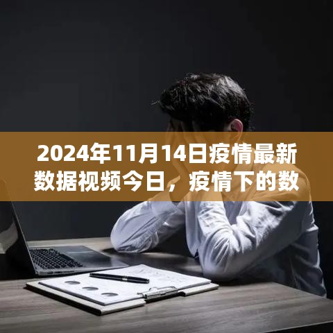 2024年11月14日疫情最新数据分析视频，解读疫情下的数据变化