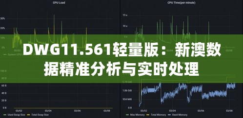 DWG11.561轻量版：新澳数据精准分析与实时处理