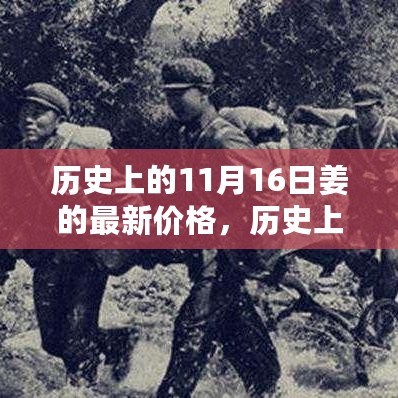 历史上的姜价回顾，11月1 6日市场动态与最新价格