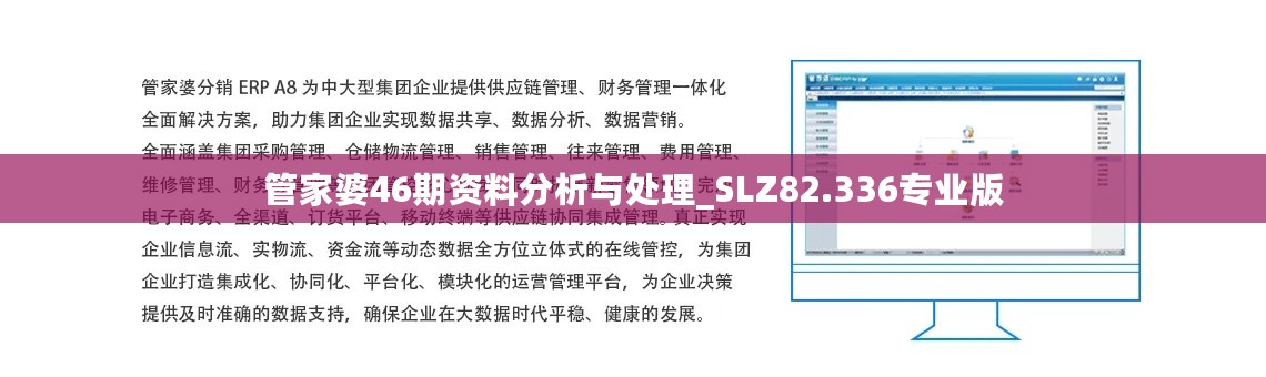 管家婆46期资料分析与处理_SLZ82.336专业版