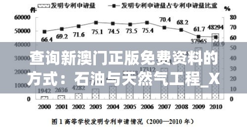 查询新澳门正版免费资料的方式：石油与天然气工程_XRD32.620精心版