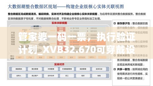 管家婆一码一票，执行验证计划_XVB32.670可穿戴设备版