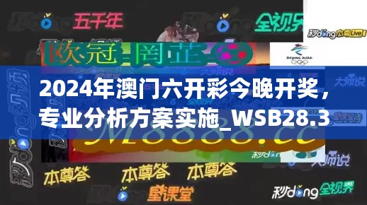 2024年澳门六开彩今晚开奖，专业分析方案实施_WSB28.370艺术版