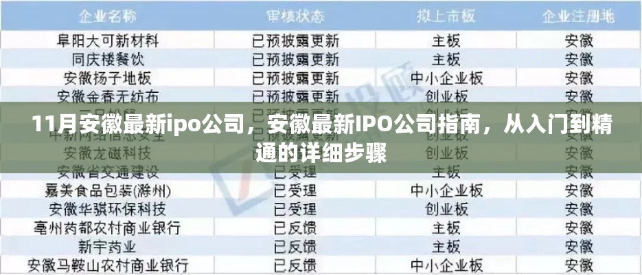 安徽最新IPO公司指南，从入门到精通的详细步骤解析