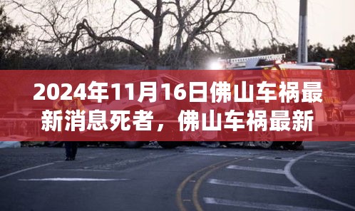 深度探讨，佛山车祸最新消息（死者情况与事故细节）2024年11月16日