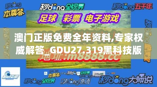 澳门正版免费全年资料,专家权威解答_GDU27.319黑科技版