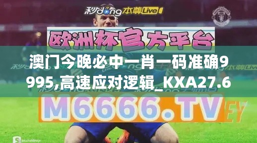 澳门今晚必中一肖一码准确9995,高速应对逻辑_KXA27.648限量版