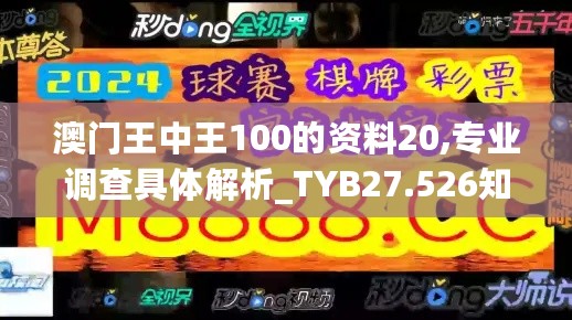 澳门王中王100的资料20,专业调查具体解析_TYB27.526知晓版