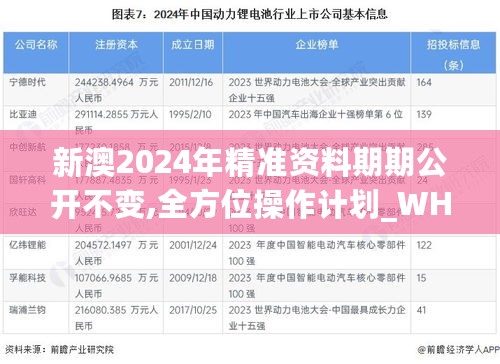 新澳2024年精准资料期期公开不变,全方位操作计划_WHO27.771设计师版