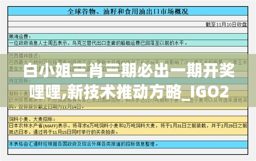 白小姐三肖三期必出一期开奖哩哩,新技术推动方略_IGO27.385零障碍版