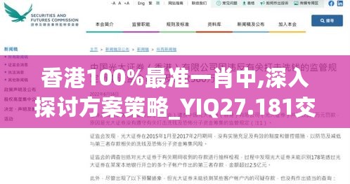 香港100%最准一肖中,深入探讨方案策略_YIQ27.181交互版