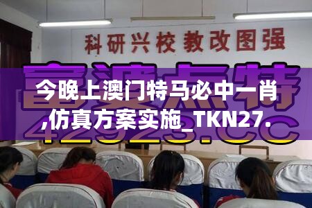 今晚上澳门特马必中一肖,仿真方案实施_TKN27.260影像处理版