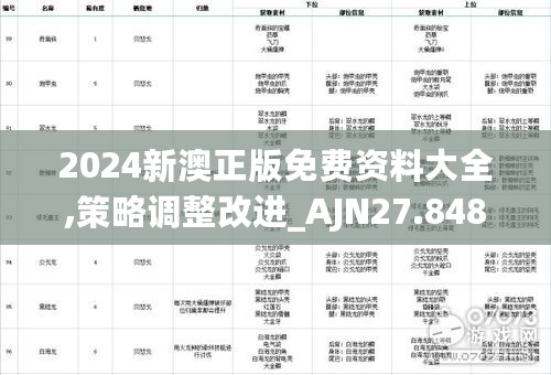 2024新澳正版免费资料大全,策略调整改进_AJN27.848方案版