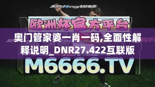 奥门管家婆一肖一码,全面性解释说明_DNR27.422互联版