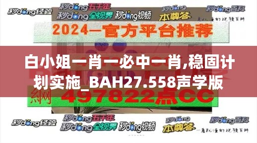 白小姐一肖一必中一肖,稳固计划实施_BAH27.558声学版