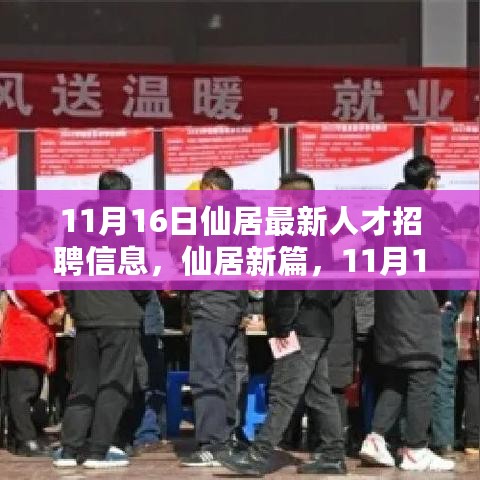 仙居最新人才招聘信息及招聘盛况深度解析，11月16日的人才市场新篇章