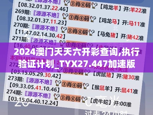 2024澳门天天六开彩查询,执行验证计划_TYX27.447加速版