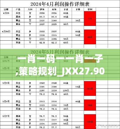 一肖一码一一肖一子,策略规划_JXX27.902改进版