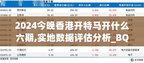 2024今晚香港开特马开什么六期,实地数据评估分析_BQT27.305智巧版