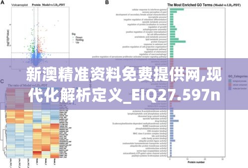 新澳精准资料免费提供网,现代化解析定义_EIQ27.597nShop