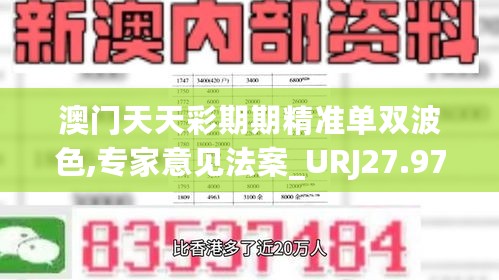 澳门天天彩期期精准单双波色,专家意见法案_URJ27.976互动版