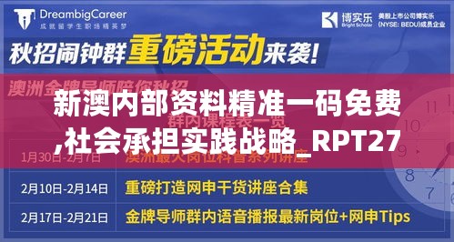 新澳内部资料精准一码免费,社会承担实践战略_RPT27.903流线型版